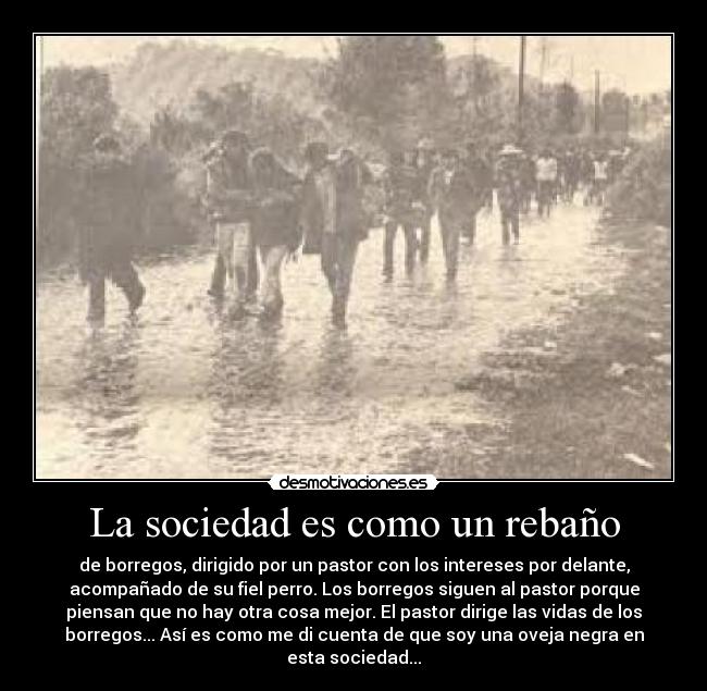 La sociedad es como un rebaño - de borregos, dirigido por un pastor con los intereses por delante,
acompañado de su fiel perro. Los borregos siguen al pastor porque
piensan que no hay otra cosa mejor. El pastor dirige las vidas de los
borregos... Así es como me di cuenta de que soy una oveja negra en
esta sociedad...