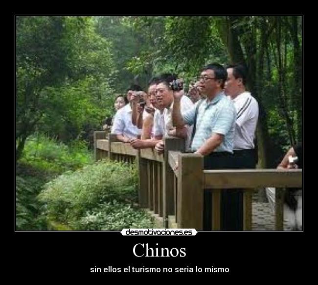 Chinos -