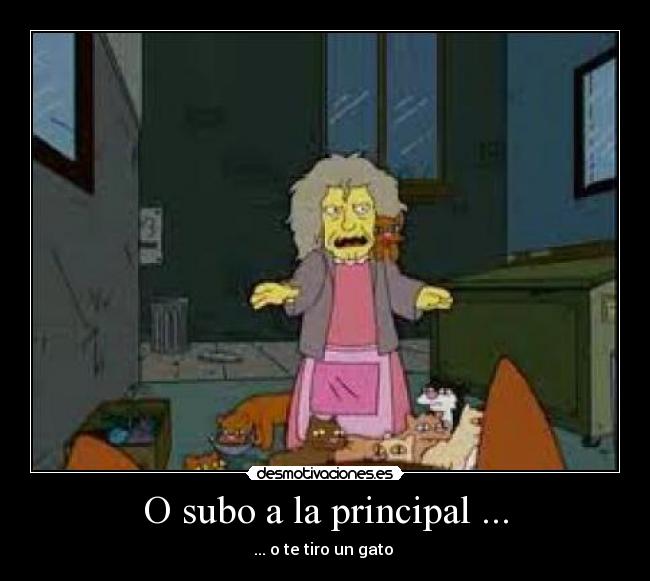O subo a la principal ... - ... o te tiro un gato