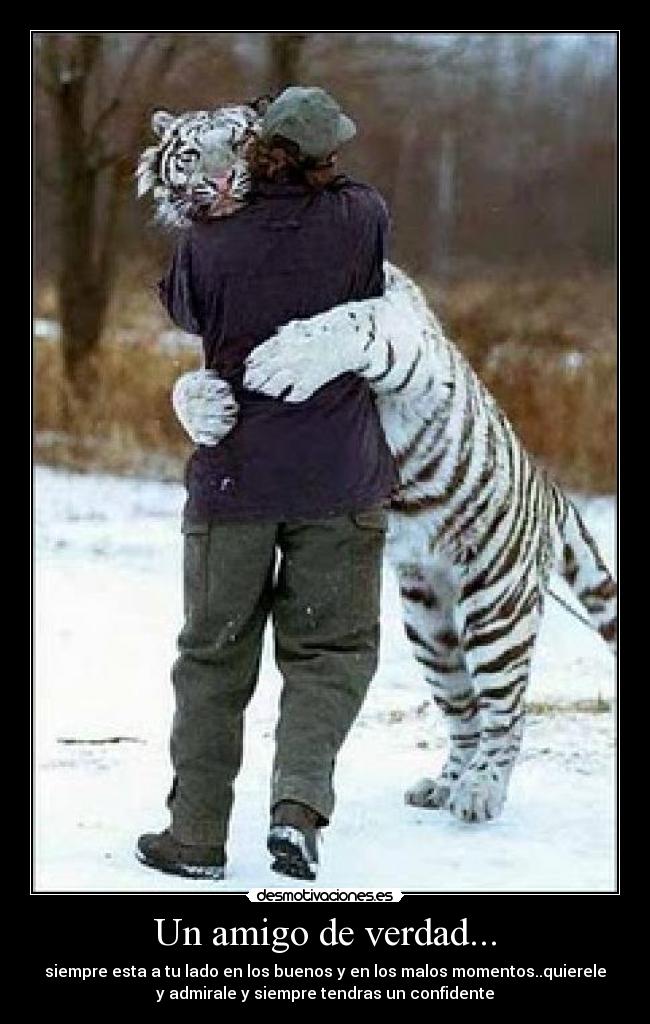 Un amigo de verdad... - 