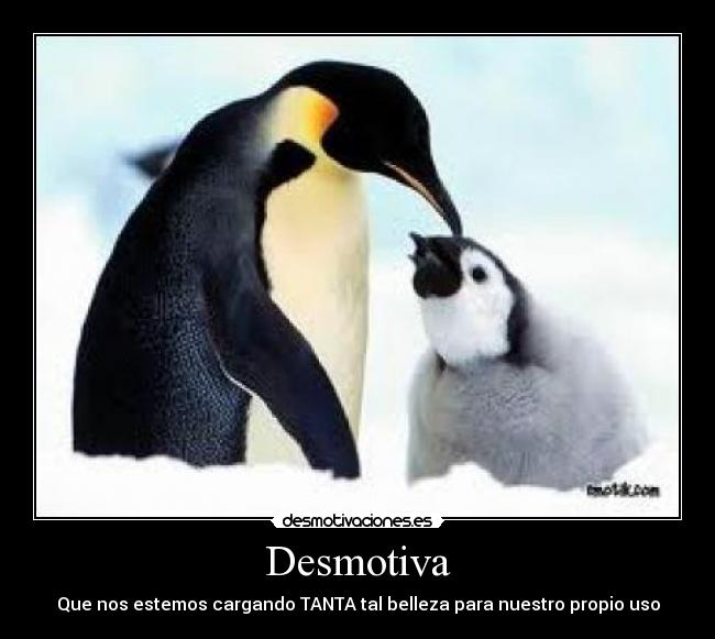 Desmotiva - Que nos estemos cargando TANTA tal belleza para nuestro propio uso