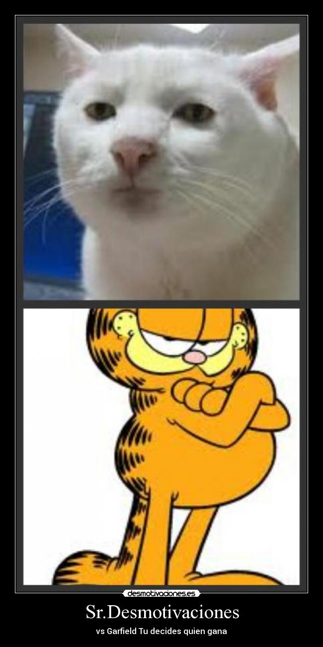 Sr.Desmotivaciones - vs Garfield Tu decides quien gana