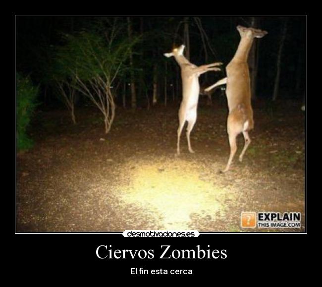 Ciervos Zombies - El fin esta cerca