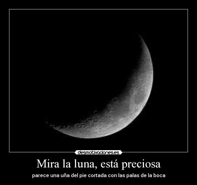 Mira la luna, está preciosa - parece una uña del pie cortada con las palas de la boca