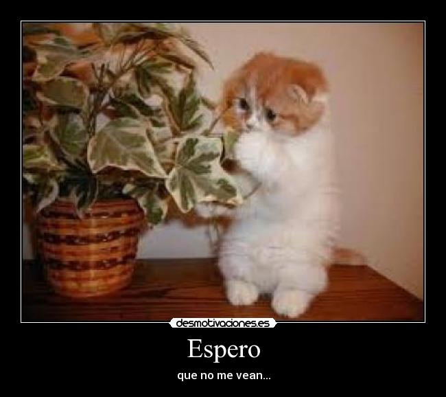 Espero - que no me vean...