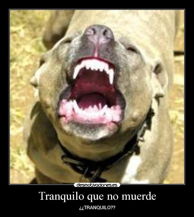 Tranquilo que no muerde -