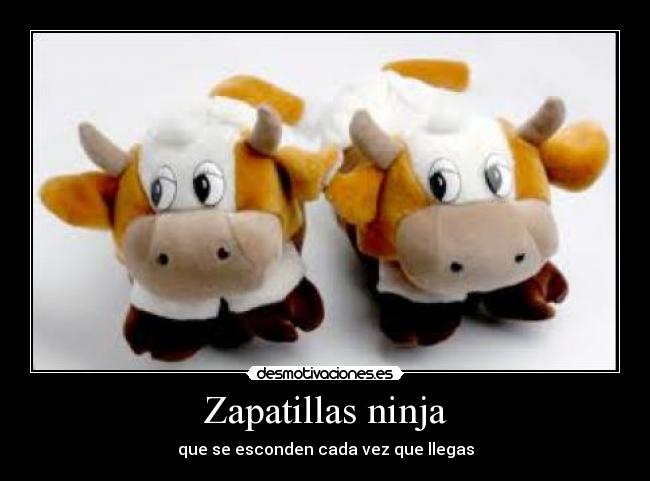 Zapatillas ninja - que se esconden cada vez que llegas