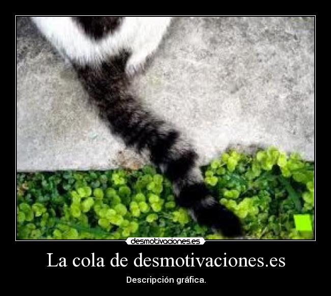 La cola de desmotivaciones.es - Descripción gráfica.