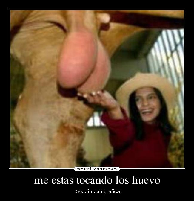 carteles toco huevos desmotivaciones