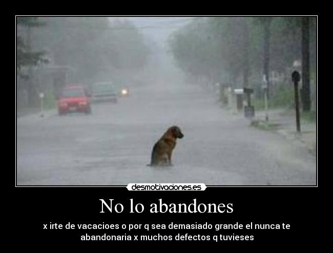 No lo abandones - 