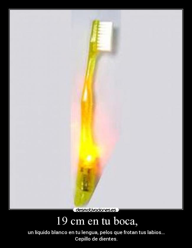 19 cm en tu boca, - 