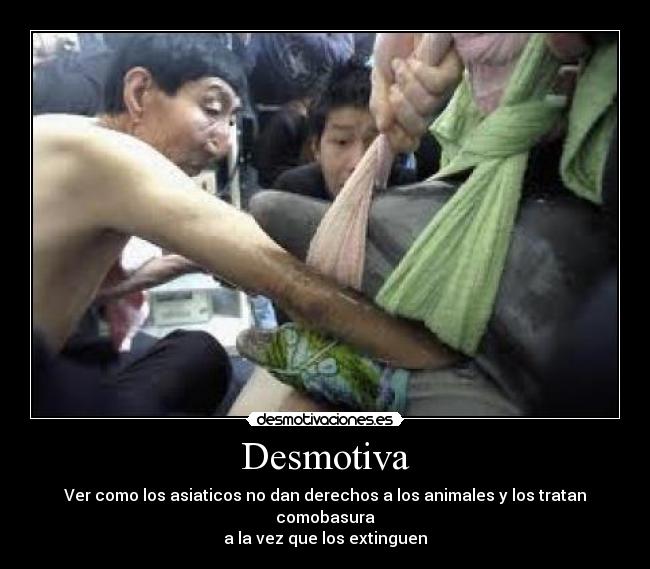 Desmotiva - Ver como los asiaticos no dan derechos a los animales y los tratan comobasura
a la vez que los extinguen