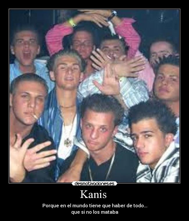 Kanis -
