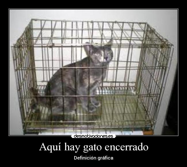 Aquí hay gato encerrado - Definición gráfica
