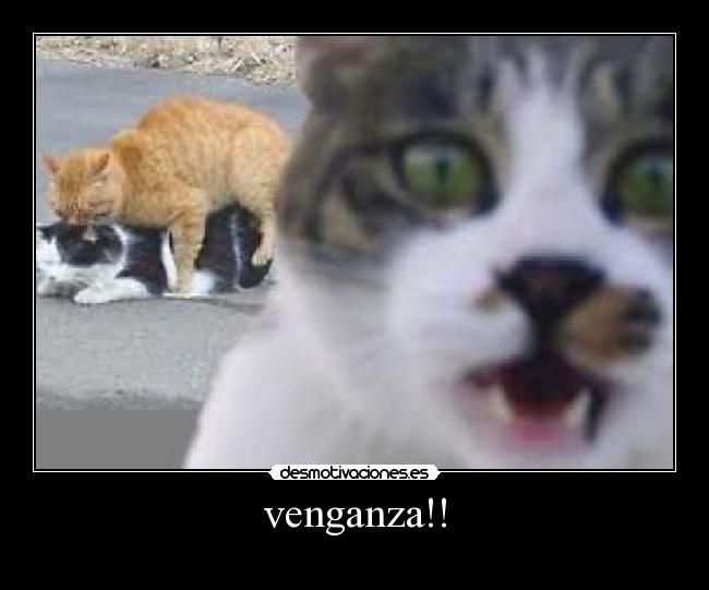 venganza!! -