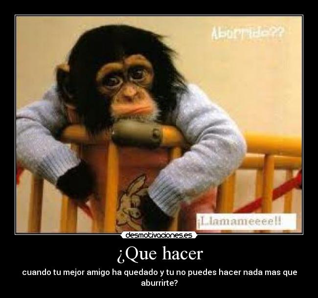 ¿Que hacer - 