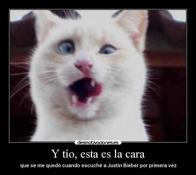 Y tío, esta es la cara - 