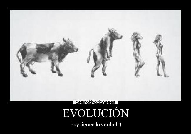 carteles evoluciongraciosomujerintersanteopssinotu desmotivaciones