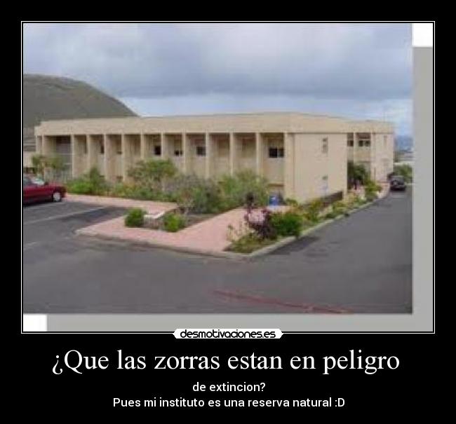 ¿Que las zorras estan en peligro -