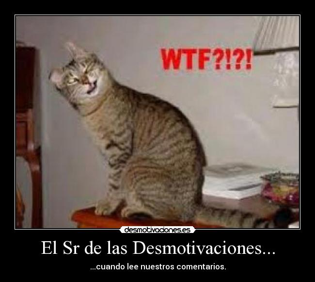 El Sr de las Desmotivaciones... - ...cuando lee nuestros comentarios.