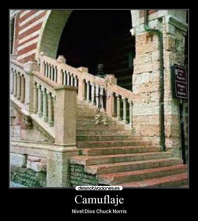 Camuflaje - Nivel:Dios Chuck Norris