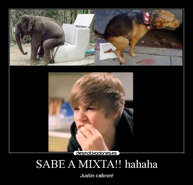 SABE A MIXTA!! hahaha - Justin cabron!