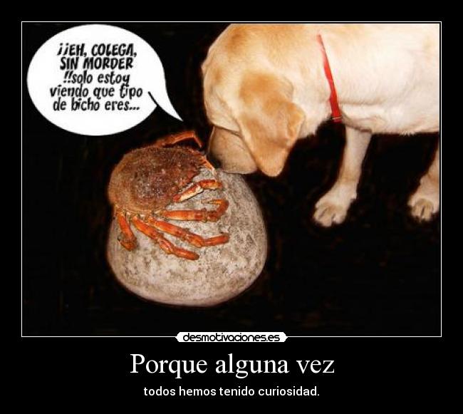 Cuidado, - peligro de que te caiga un ovni encima.