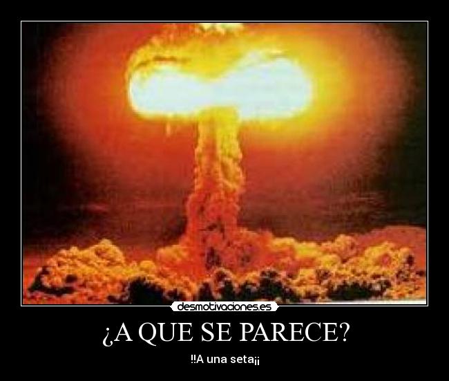 ¿A QUE SE PARECE? - !!A una seta¡¡