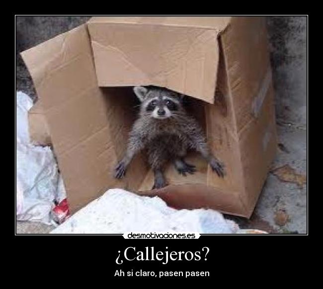 carteles shannay desmotivaciones