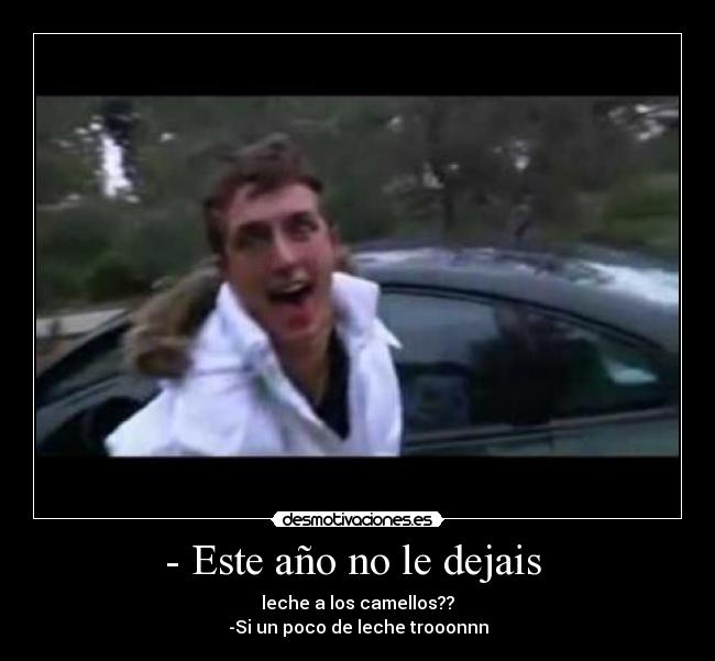 - Este año no le dejais - leche a los camellos??
-Si un poco de leche trooonnn