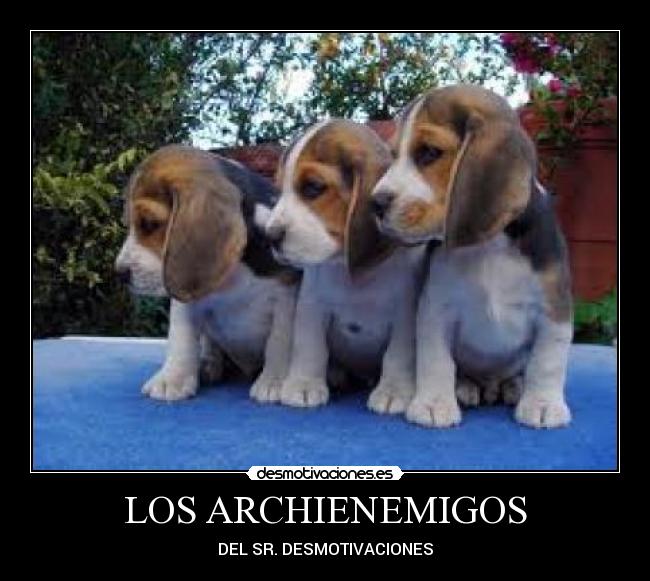 LOS ARCHIENEMIGOS - 
