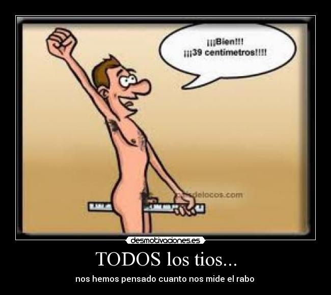 TODOS los tios... - nos hemos pensado cuanto nos mide el rabo