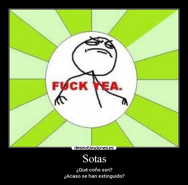 Sotas - ¿Qué coño son?
¿Acaso se han extinguido?