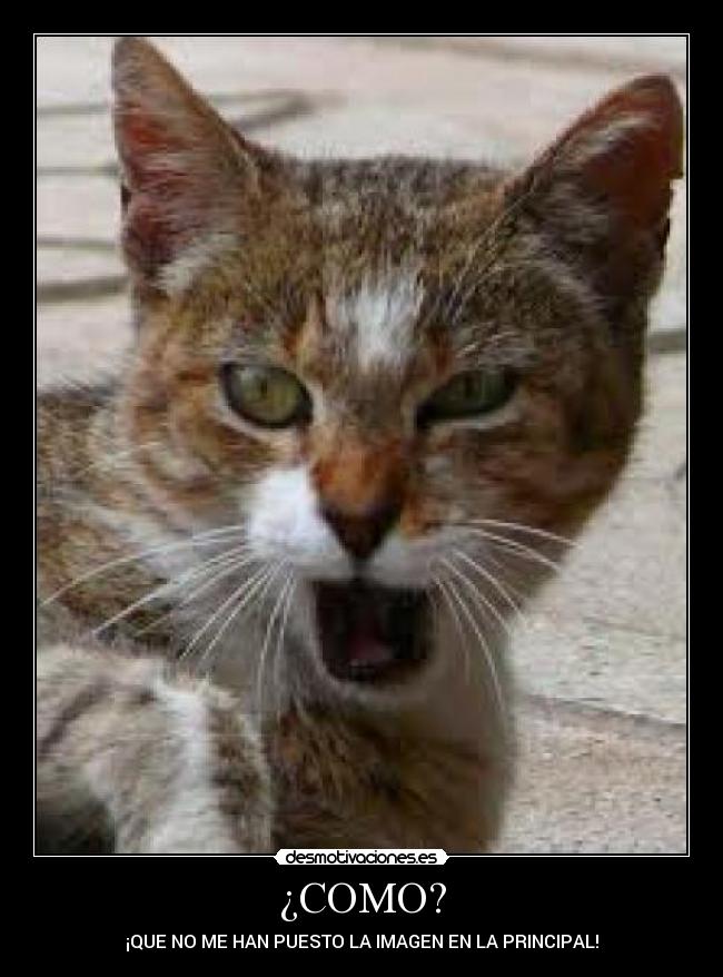 ¿COMO? - ¡QUE NO ME HAN PUESTO LA IMAGEN EN LA PRINCIPAL!