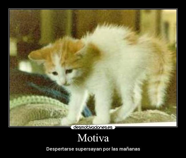 Motiva -