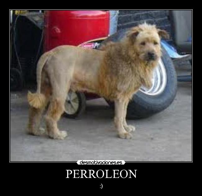 PERROLEON - :)
