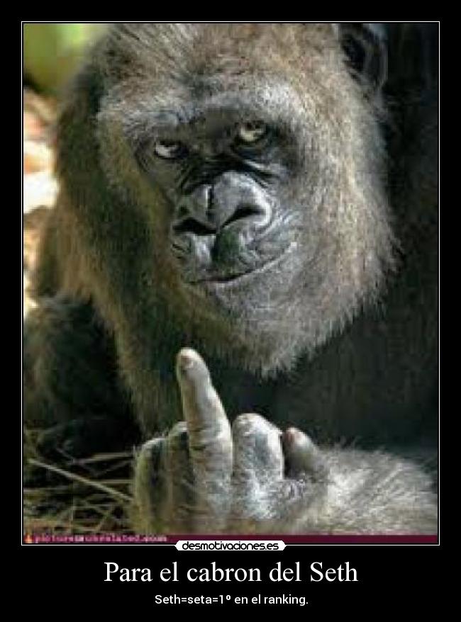 carteles upp desmotivaciones