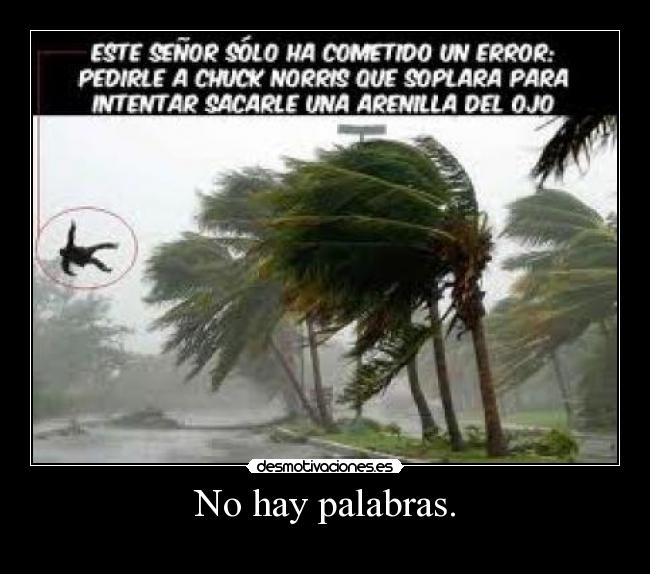 No hay palabras. -