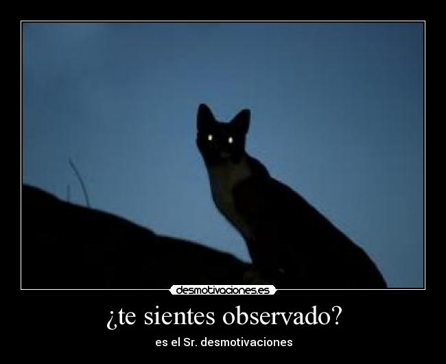 ¿te sientes observado? -