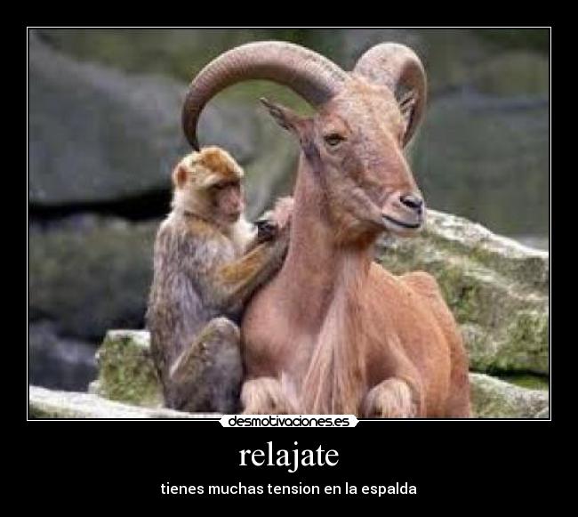relajate - tienes muchas tension en la espalda