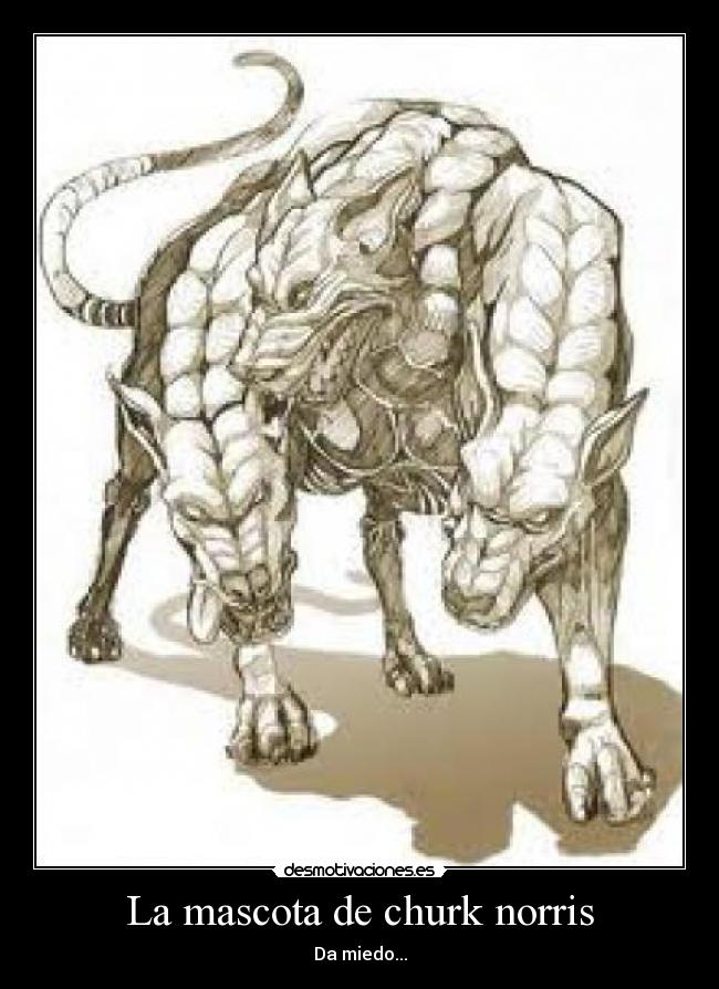 La mascota de churk norris - Da miedo...