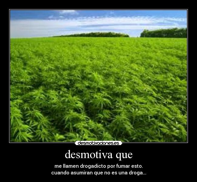 carteles marihuana desmotivaciones