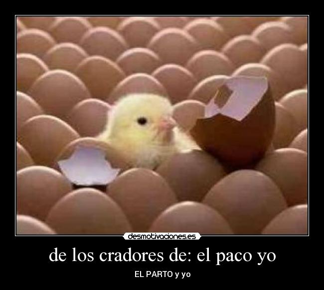 de los cradores de: el paco yo - EL PARTO y yo