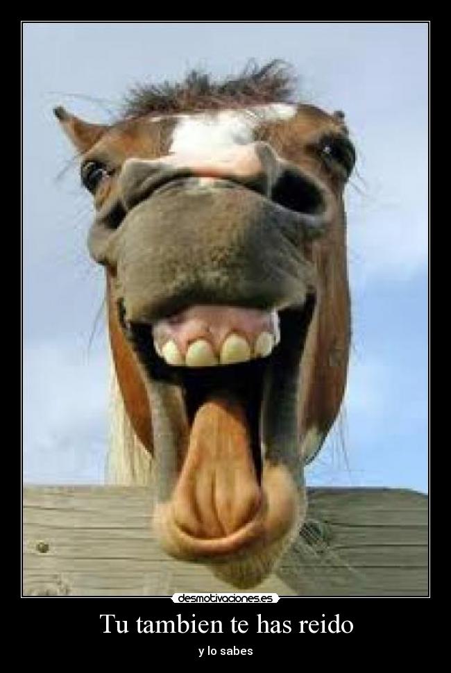 Tu tambien te has reido - y lo sabes