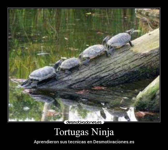 Tortugas Ninja -