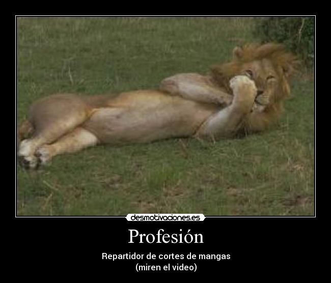 Profesión - 