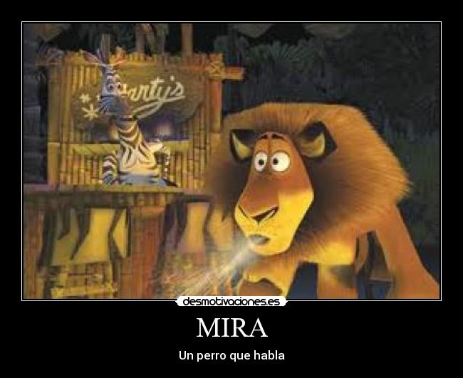 MIRA - Un perro que habla