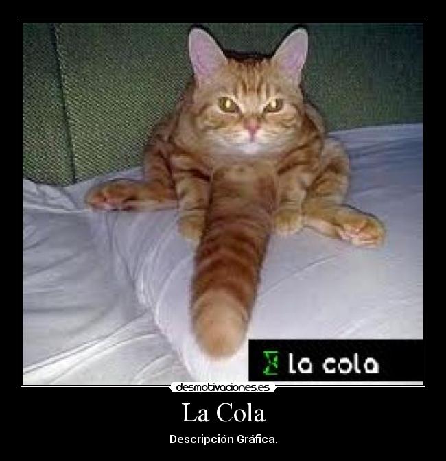 La Cola - Descripción Gráfica.