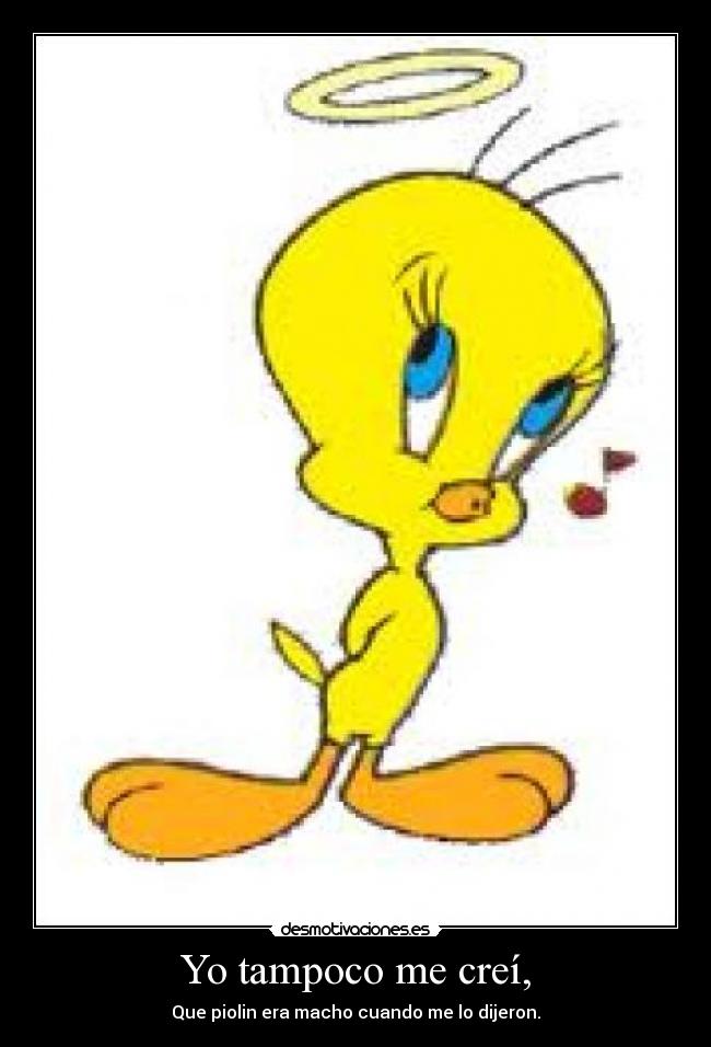 Yo tampoco me creí, - 