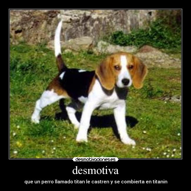 desmotiva - que un perro llamado titan le castren y se combierta en titanin